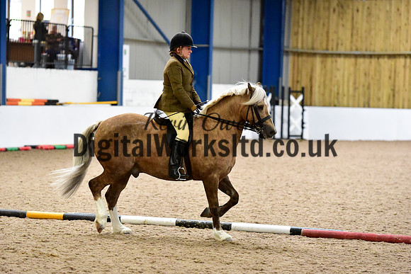 NECWPCA-SUMMER-WELSH-SILVER-MEDAL-SHOW (136 of 325)