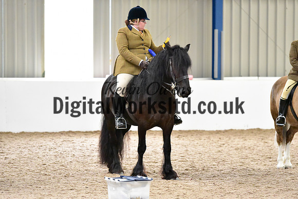 NECWPCA-SUMMER-WELSH-SILVER-MEDAL-SHOW (159 of 325)