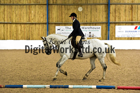 NECWPCA-SUMMER-WELSH-SILVER-MEDAL-SHOW (67 of 315)