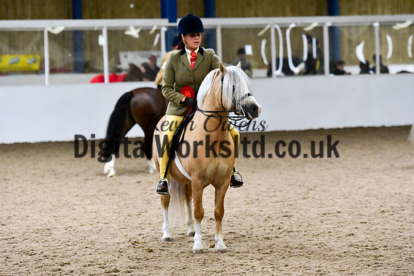 NECWPCA-SUMMER-WELSH-SILVER-MEDAL-SHOW (201 of 325)