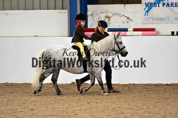 NECWPCA-SUMMER-WELSH-SILVER-MEDAL-SHOW (115 of 120)