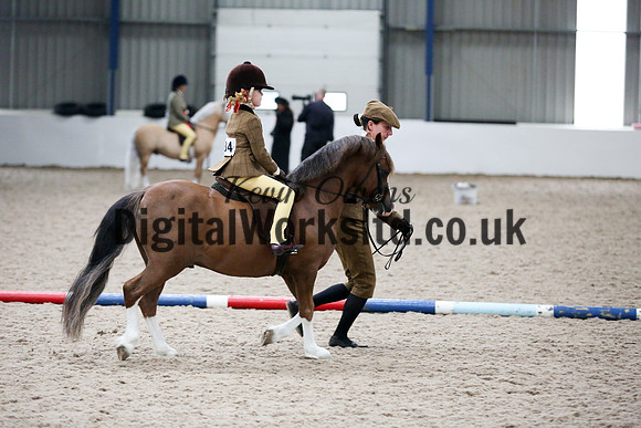 NECWPCA-SUMMER-WELSH-SILVER-MEDAL-SHOW (96 of 325)