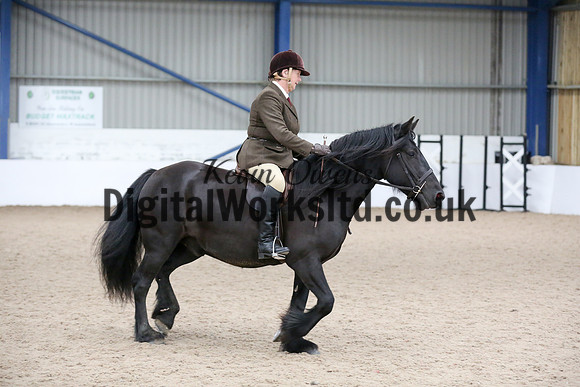 NECWPCA-SUMMER-WELSH-SILVER-MEDAL-SHOW (45 of 419)