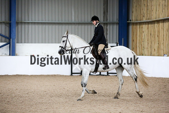 NECWPCA-SUMMER-WELSH-SILVER-MEDAL-SHOW (32 of 315)
