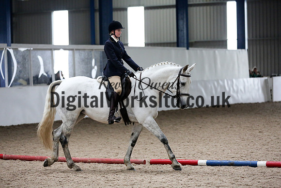 NECWPCA-SUMMER-WELSH-SILVER-MEDAL-SHOW (90 of 315)