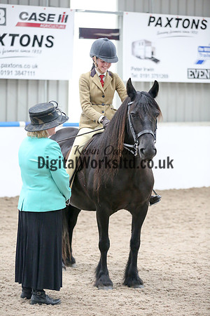 NECWPCA-SUMMER-WELSH-SILVER-MEDAL-SHOW (4 of 120)