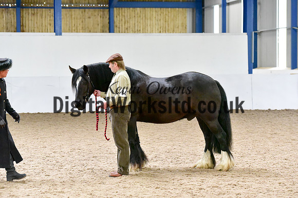 NECWPCA-SUMMER-WELSH-SILVER-MEDAL-SHOW (4 of 150)