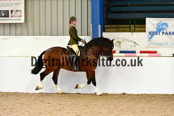 NECWPCA-SUMMER-WELSH-SILVER-MEDAL-SHOW (128 of 325)