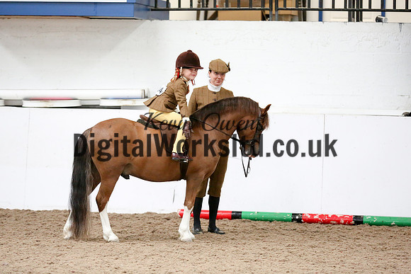 NECWPCA-SUMMER-WELSH-SILVER-MEDAL-SHOW (99 of 325)