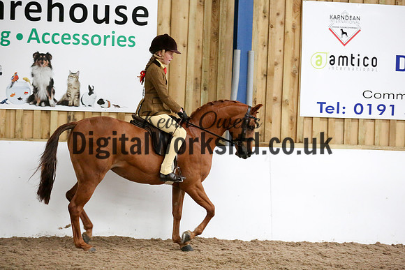 NECWPCA-SUMMER-WELSH-SILVER-MEDAL-SHOW (56 of 325)