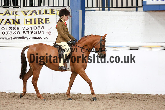 NECWPCA-SUMMER-WELSH-SILVER-MEDAL-SHOW (92 of 419)