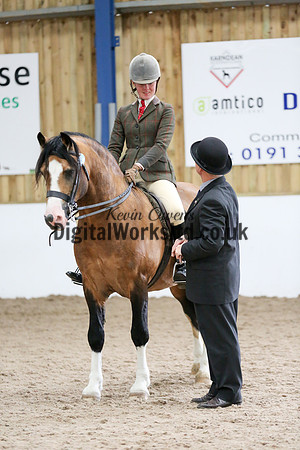 NECWPCA-SUMMER-WELSH-SILVER-MEDAL-SHOW (286 of 315)