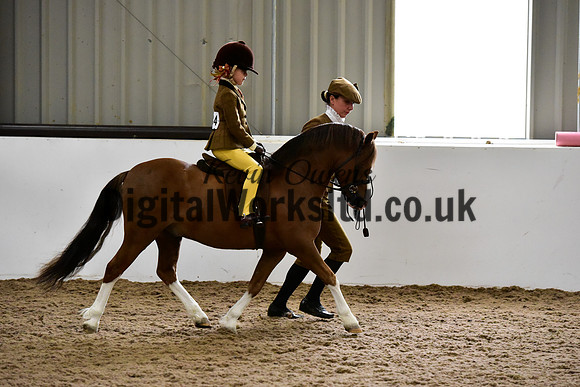 NECWPCA-SUMMER-WELSH-SILVER-MEDAL-SHOW (19 of 159)