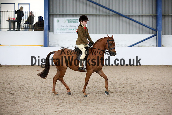 NECWPCA-SUMMER-WELSH-SILVER-MEDAL-SHOW (74 of 325)