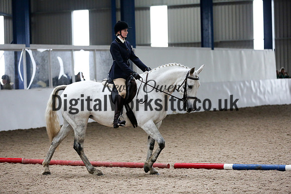 NECWPCA-SUMMER-WELSH-SILVER-MEDAL-SHOW (89 of 315)