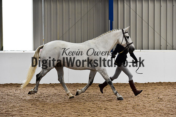 NECWPCA-SUMMER-WELSH-SILVER-MEDAL-SHOW (55 of 61)