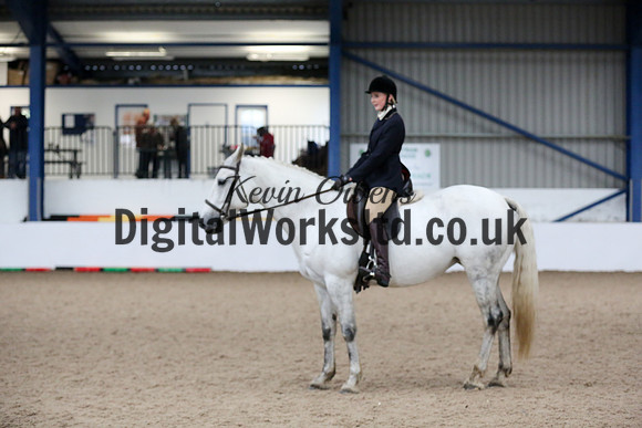 NECWPCA-SUMMER-WELSH-SILVER-MEDAL-SHOW (70 of 315)