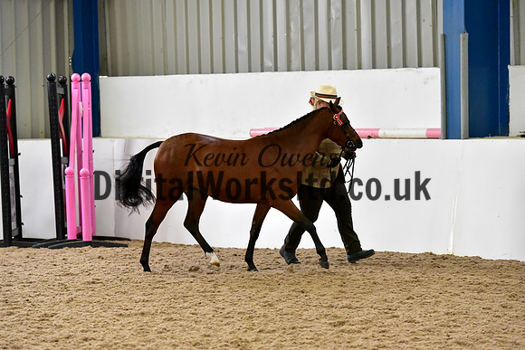 NECWPCA-SUMMER-WELSH-SILVER-MEDAL-SHOW (1 of 62)