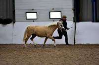NECWPCA-SUMMER-WELSH-SILVER-MEDAL-SHOW (17 of 412)