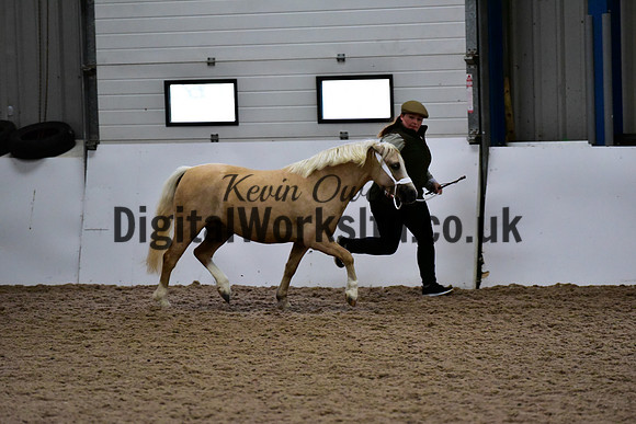 NECWPCA-SUMMER-WELSH-SILVER-MEDAL-SHOW (17 of 412)