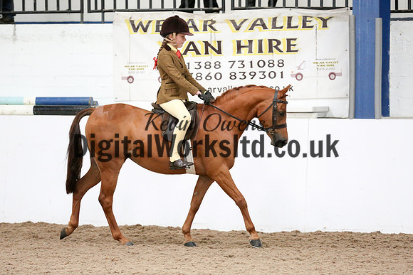 NECWPCA-SUMMER-WELSH-SILVER-MEDAL-SHOW (91 of 419)