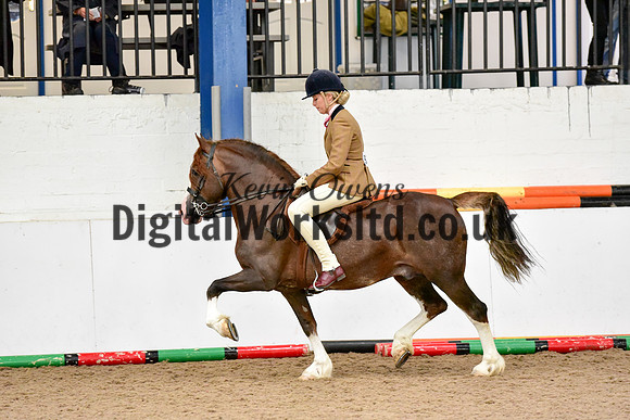 NECWPCA-SUMMER-WELSH-SILVER-MEDAL-SHOW (49 of 92)