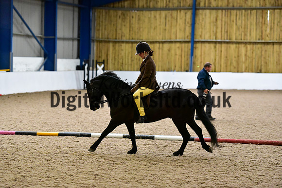 NECWPCA-SUMMER-WELSH-SILVER-MEDAL-SHOW (287 of 315)