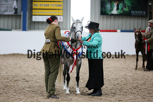 NECWPCA-SUMMER-WELSH-SILVER-MEDAL-SHOW (3 of 162)