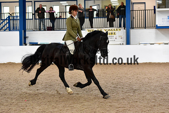 NECWPCA-SUMMER-WELSH-SILVER-MEDAL-SHOW (15 of 92)