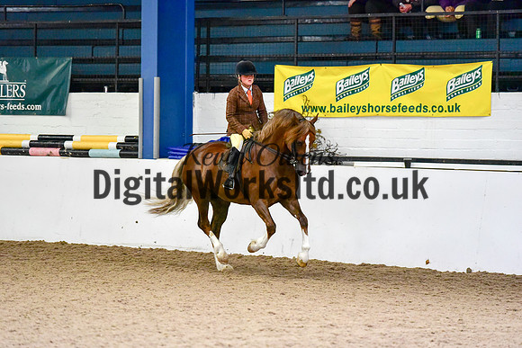 NECWPCA-SUMMER-WELSH-SILVER-MEDAL-SHOW (5 of 92)
