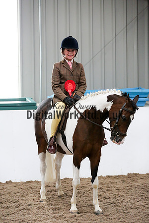 NECWPCA-SUMMER-WELSH-SILVER-MEDAL-SHOW (1 of 315)
