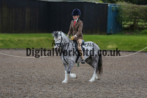 BDH-Point-to-Point-182