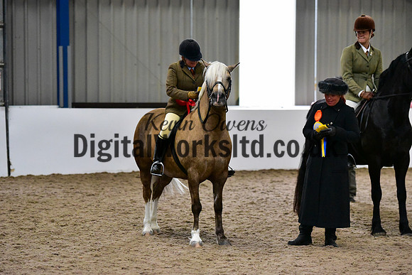 NECWPCA-SUMMER-WELSH-SILVER-MEDAL-SHOW (50 of 325)