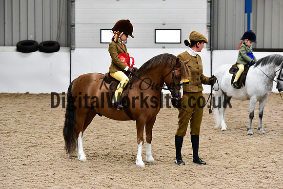 NECWPCA-SUMMER-WELSH-SILVER-MEDAL-SHOW (47 of 419)