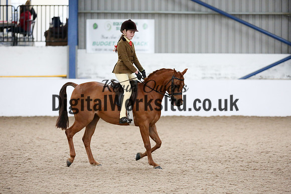 NECWPCA-SUMMER-WELSH-SILVER-MEDAL-SHOW (5 of 315)