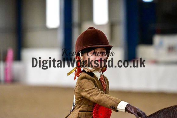 NECWPCA-SUMMER-WELSH-SILVER-MEDAL-SHOW (77 of 92)