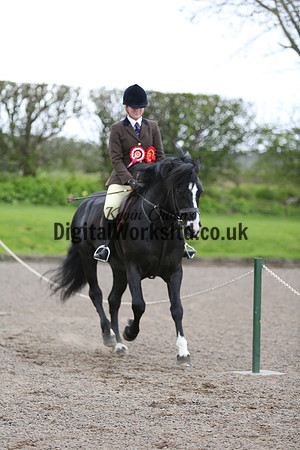 BDH-Point-to-Point-132