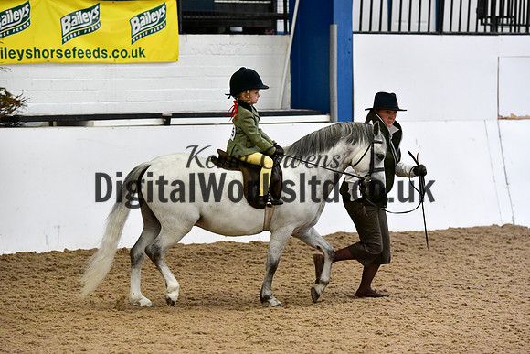 NECWPCA-SUMMER-WELSH-SILVER-MEDAL-SHOW (1 of 120)