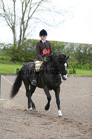 BDH-Point-to-Point-135