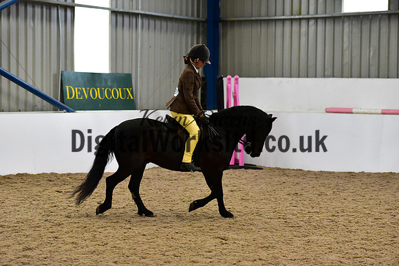 NECWPCA-SUMMER-WELSH-SILVER-MEDAL-SHOW (302 of 315)