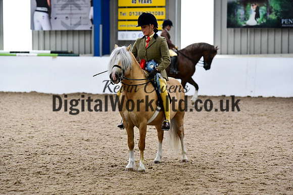 NECWPCA-SUMMER-WELSH-SILVER-MEDAL-SHOW (202 of 325)
