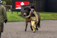 BDH-Point-to-Point-4