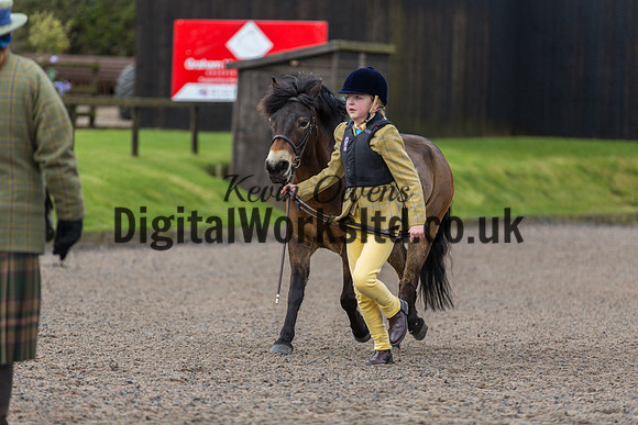 BDH-Point-to-Point-4