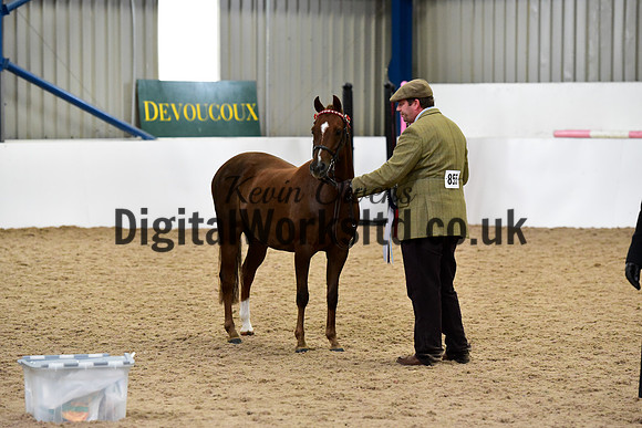 NECWPCA-SUMMER-WELSH-SILVER-MEDAL-SHOW (6 of 75)
