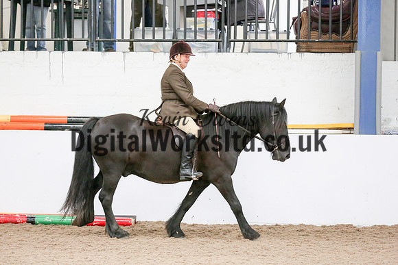 NECWPCA-SUMMER-WELSH-SILVER-MEDAL-SHOW (17 of 419)