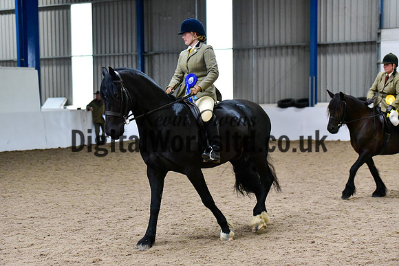 NECWPCA-SUMMER-WELSH-SILVER-MEDAL-SHOW (269 of 315)