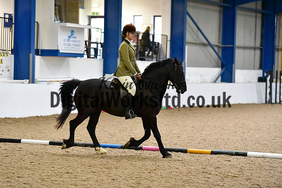 NECWPCA-SUMMER-WELSH-SILVER-MEDAL-SHOW (13 of 325)
