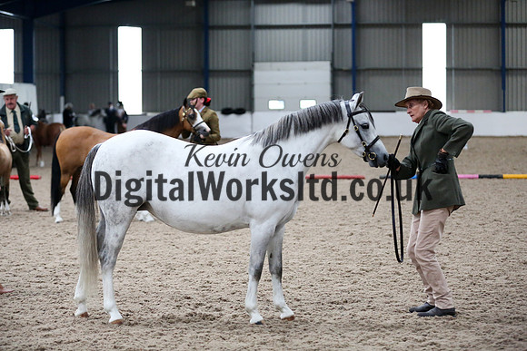NECWPCA-SUMMER-WELSH-SILVER-MEDAL-SHOW (47 of 427)
