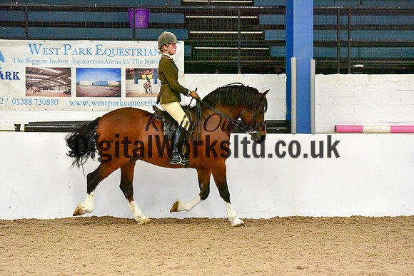 NECWPCA-SUMMER-WELSH-SILVER-MEDAL-SHOW (129 of 325)