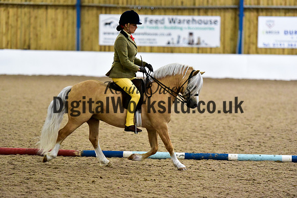 NECWPCA-SUMMER-WELSH-SILVER-MEDAL-SHOW (76 of 325)